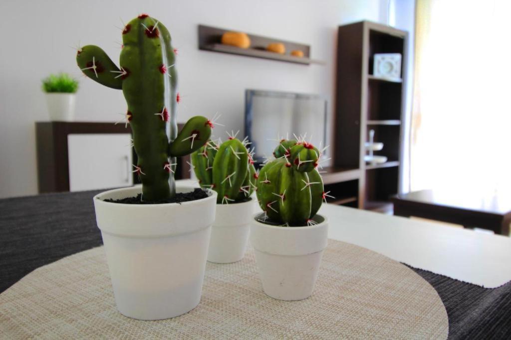 Expoholidays-Eucalipto 1º1 Lejlighed Aguadulce  Eksteriør billede
